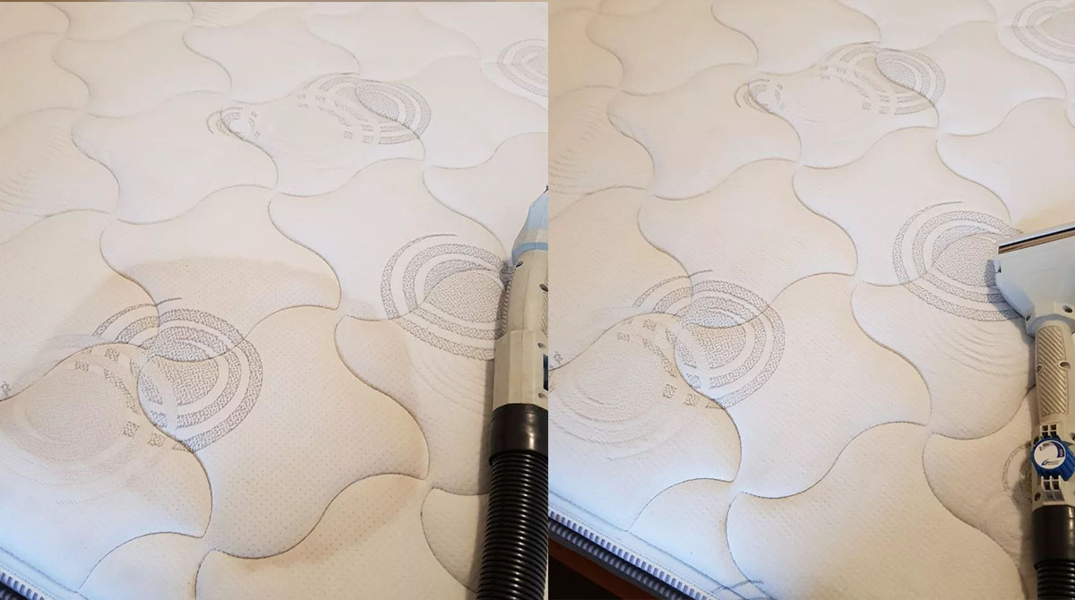 Mattress Steam Cleaning Adelaide